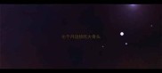 七个月边牧吃大骨头