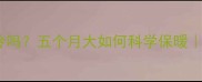 雪纳瑞幼犬怕冷吗五个月大如何科学保暖新手养狗必看