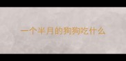 一个半月的狗狗吃什么