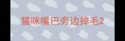 猫咪嘴巴旁边掉毛