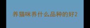养猫咪养什么品种的好