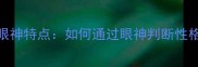 边境牧羊犬眼神特点如何通过眼神判断性格与训练建议