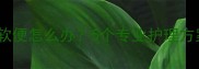 幼犬哈士奇软便怎么办5个专业护理方案助你解决