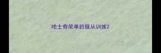 哈士奇简单的服从训练