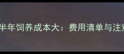 哈士奇半年饲养成本大费用清单与注意事项