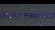 宠物级英短多少钱最新价格全及选购指南