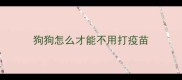 狗狗怎么才能不用打疫苗