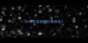 2017年宠物狗价格排名