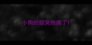 小狗的腿突然瘸了