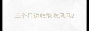 三个月边牧能吹风吗