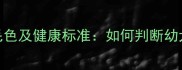 拉布拉多犬常见毛色及健康标准如何判断幼犬颜色是否正常