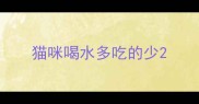 猫咪喝水多吃的少
