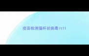 疫苗检测猫杯状病毒lt1