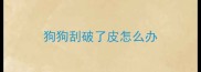 狗狗刮破了皮怎么办