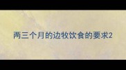 两三个月的边牧饮食的要求