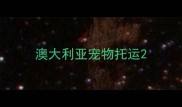 澳大利亚宠物托运