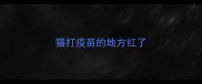 猫打疫苗的地方红了