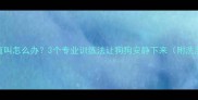 边牧洗澡后一直叫怎么办3个专业训练法让狗狗安静下来附洗澡全流程指南