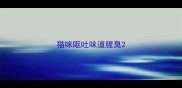 猫咪呕吐味道腥臭