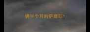 俩半个月的萨摩耶