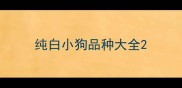 纯白小狗品种大全
