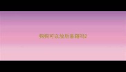 狗狗可以放后备箱吗