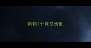 狗狗7个月牙齿乱