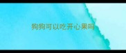 狗狗可以吃开心果吗