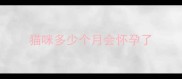 猫咪多少个月会怀孕了