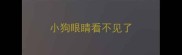 小狗眼睛看不见了