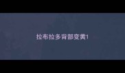 拉布拉多背部变黄