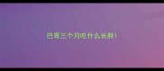 巴哥三个月吃什么长胖