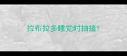 拉布拉多睡觉时抽搐