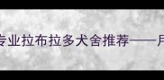 最佳选择专业拉布拉多犬舍推荐月亮湾犬舍全