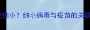 狗狗接种疫苗后突发细小细小病毒与疫苗的关联性及科学应对指南