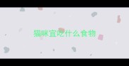 猫咪宜吃什么食物