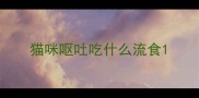 猫咪呕吐吃什么流食