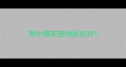 滁州哪家宠物医院好