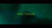 狗狗打了疫苗拉稀