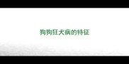 狗狗狂犬病的特征