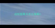 边牧肠胃炎怎么缓解