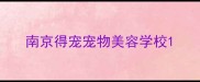 南京得宠宠物美容学校