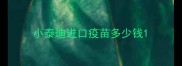 小泰迪进口疫苗多少钱