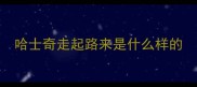 哈士奇走起路来是什么样的