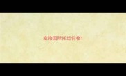 宠物国际托运价格