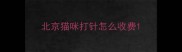 北京猫咪打针怎么收费