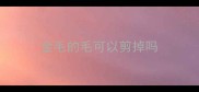 金毛的毛可以剪掉吗