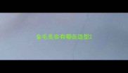 金毛美容有哪些造型
