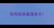 拉布拉多能涨多大