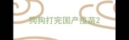 狗狗打完国产疫苗